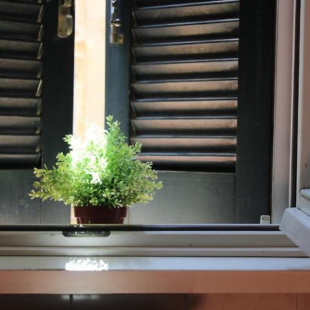 Colosseum New Charming Apartment Rom Exterior foto